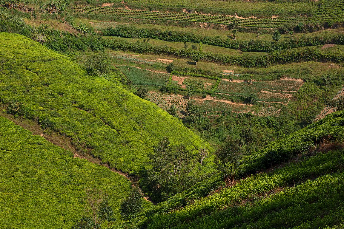 Recuerda a Ribeira Sacra