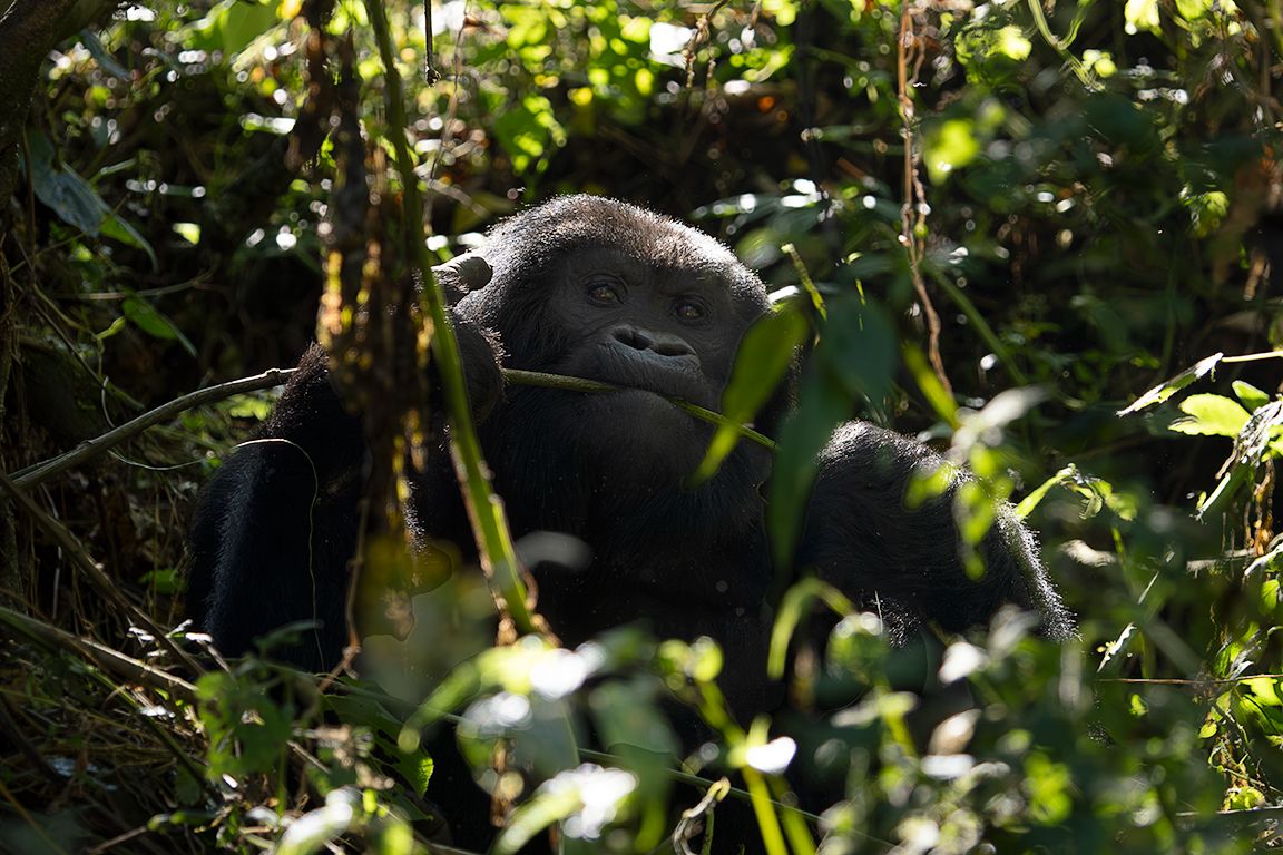 Casi dos horas después, ahí están