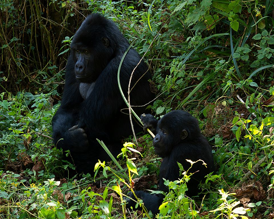 Momentos para disfrutar de su cercanía