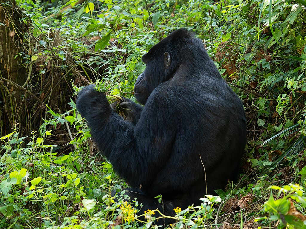 Saben que estamos ahí