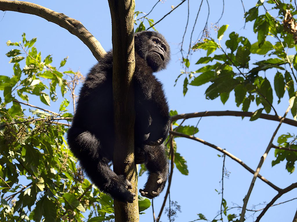 Un jovencito que nos mira desde la altura