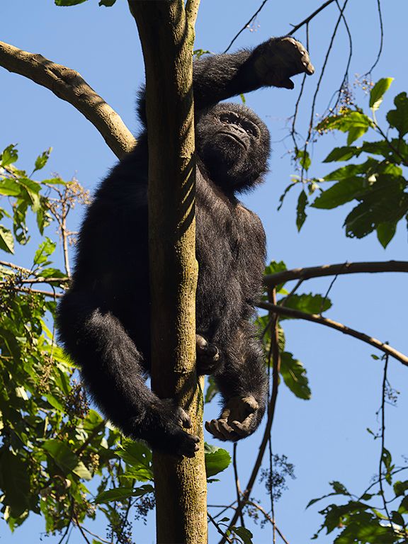 Un jovencito que nos mira desde la altura