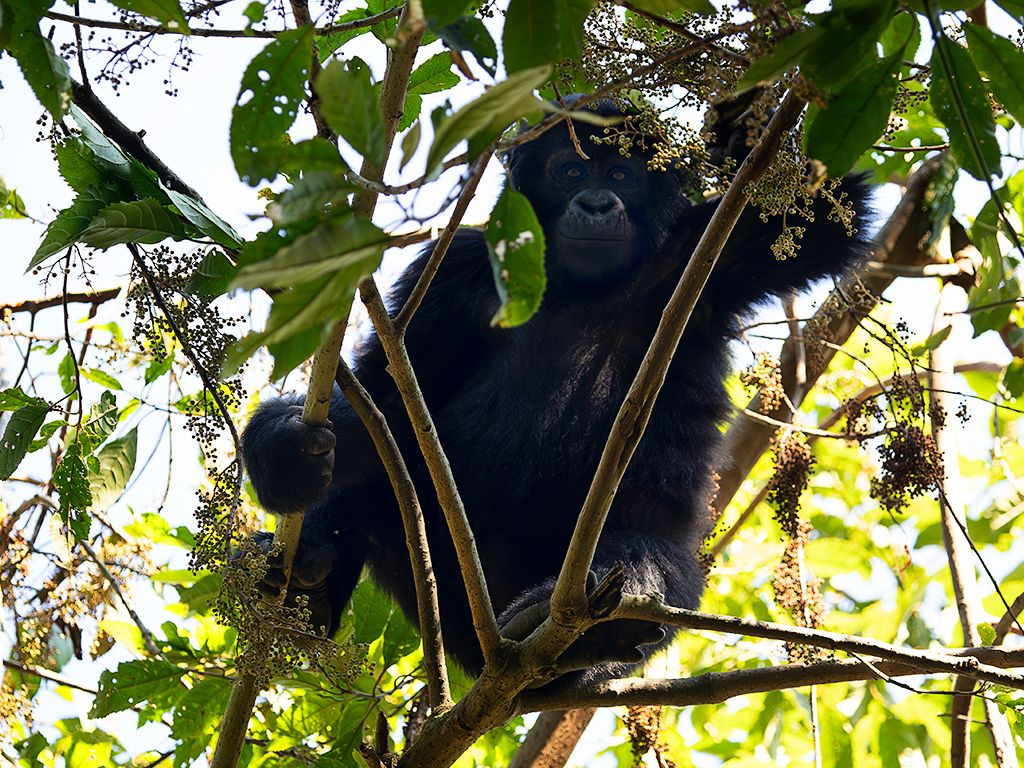 Un jovencito que nos mira desde la altura