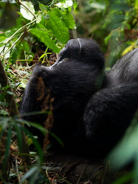Desde luego no le causamos inquietud
