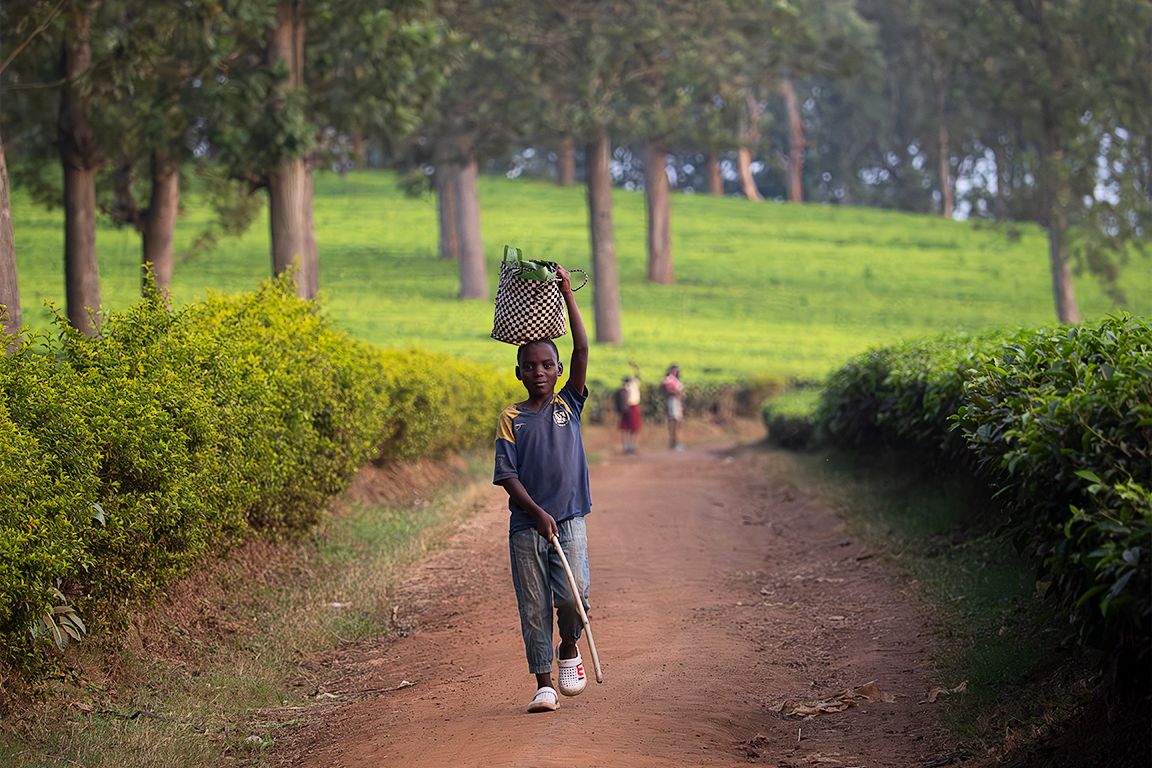 Los niños de mirada curiosa