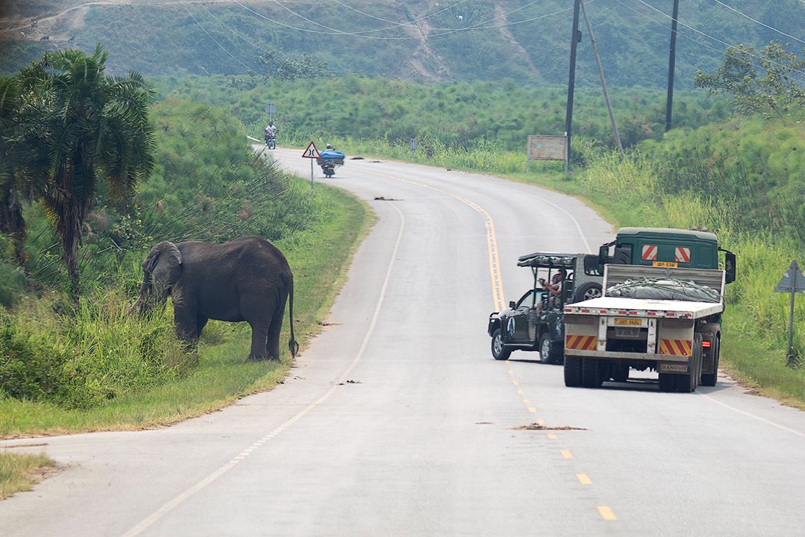 Servicio de limpieza natural