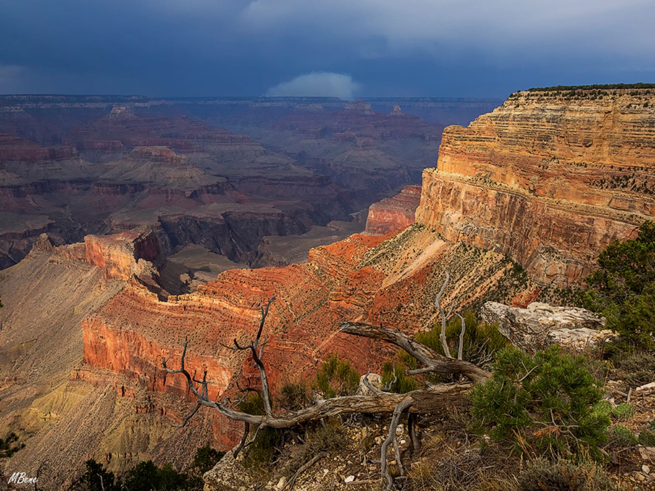 Grand Canyon