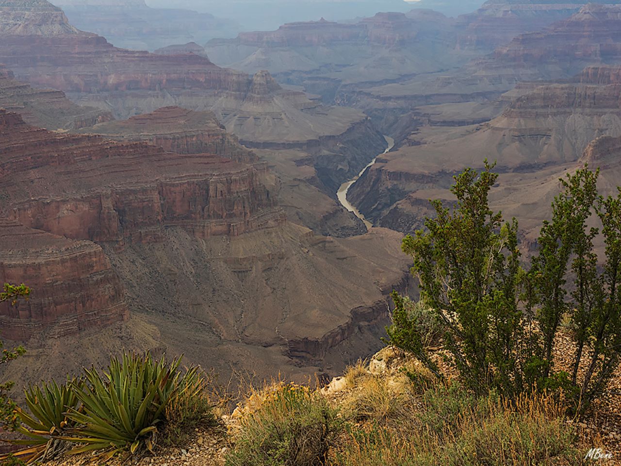 Grand Canyon
