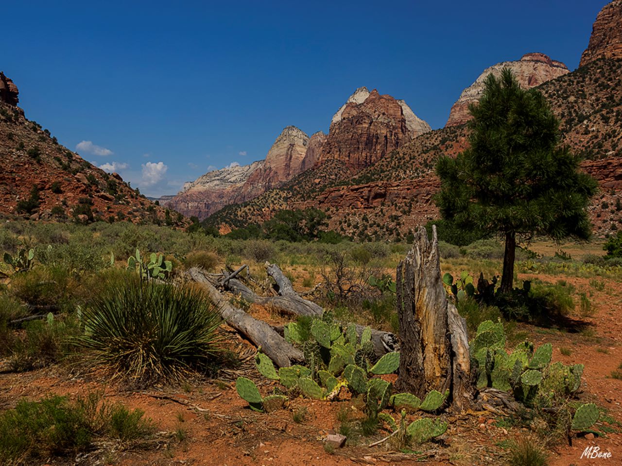 Parque nacional Zion