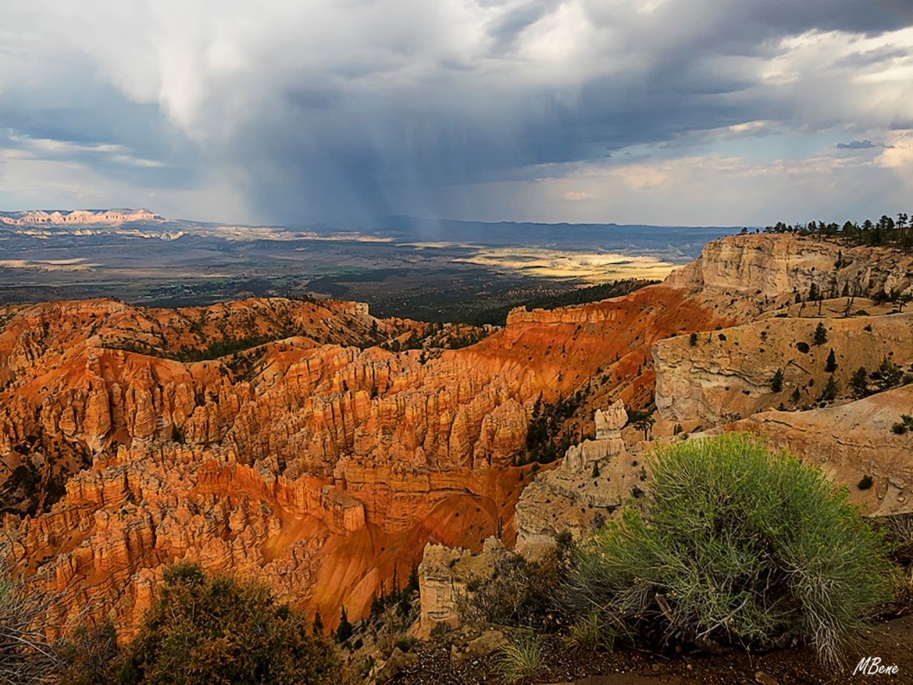 Bryce canyon