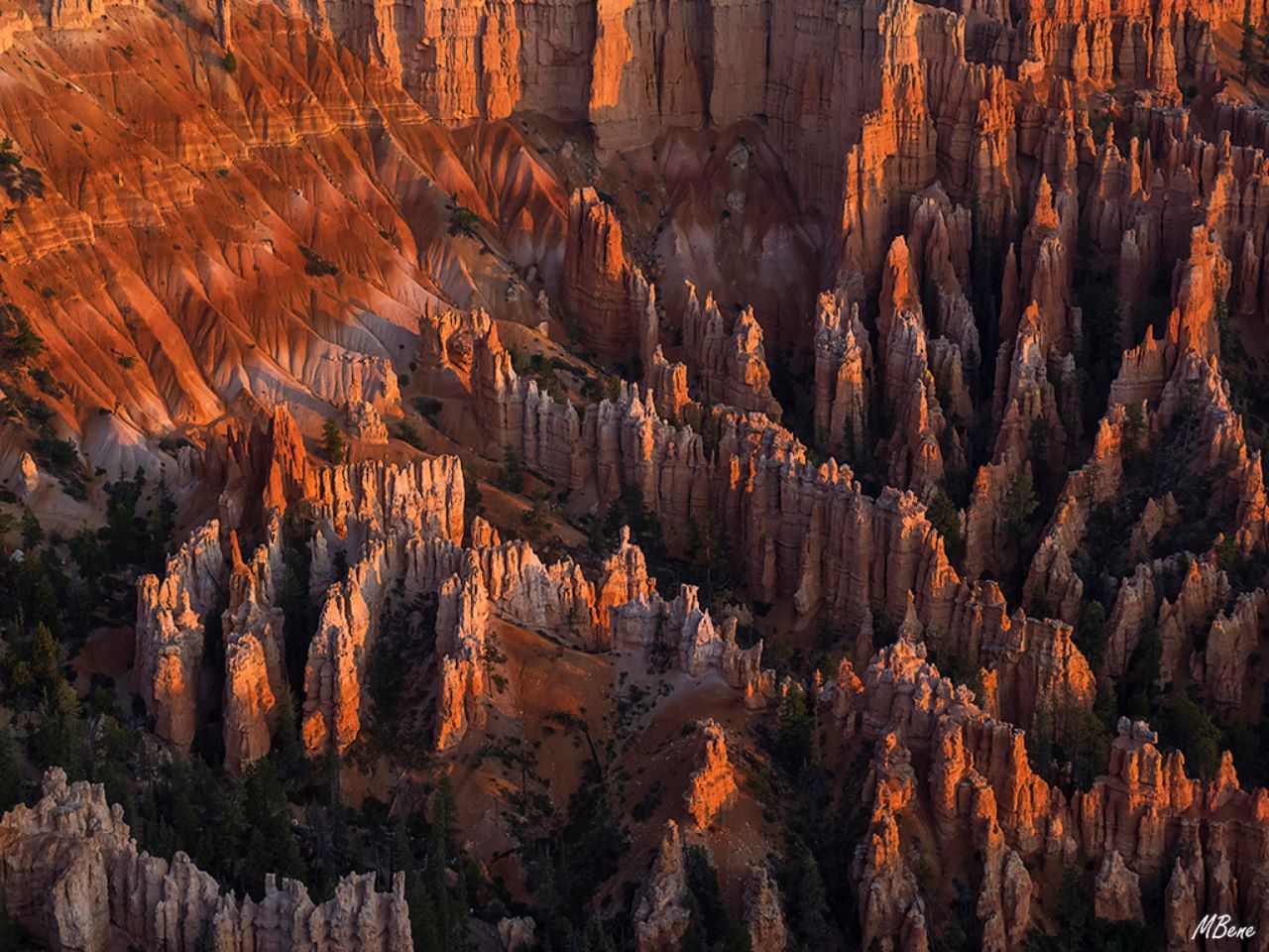 Bryce canyon