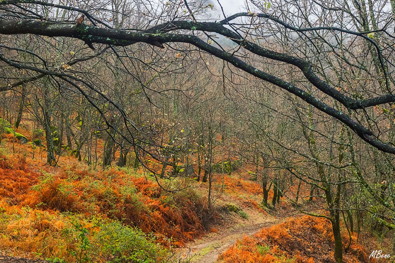 Primavera con sabor a otoño