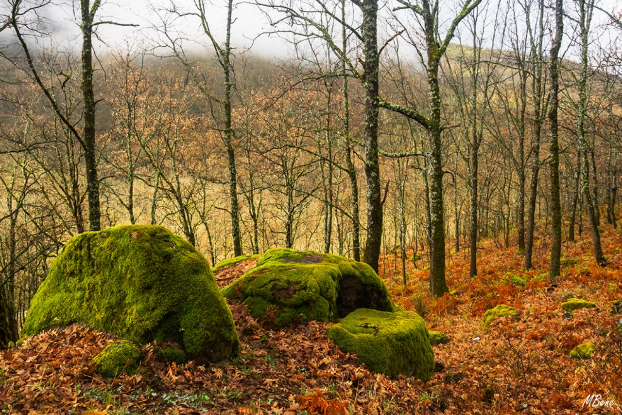 Primavera con sabor a otoño