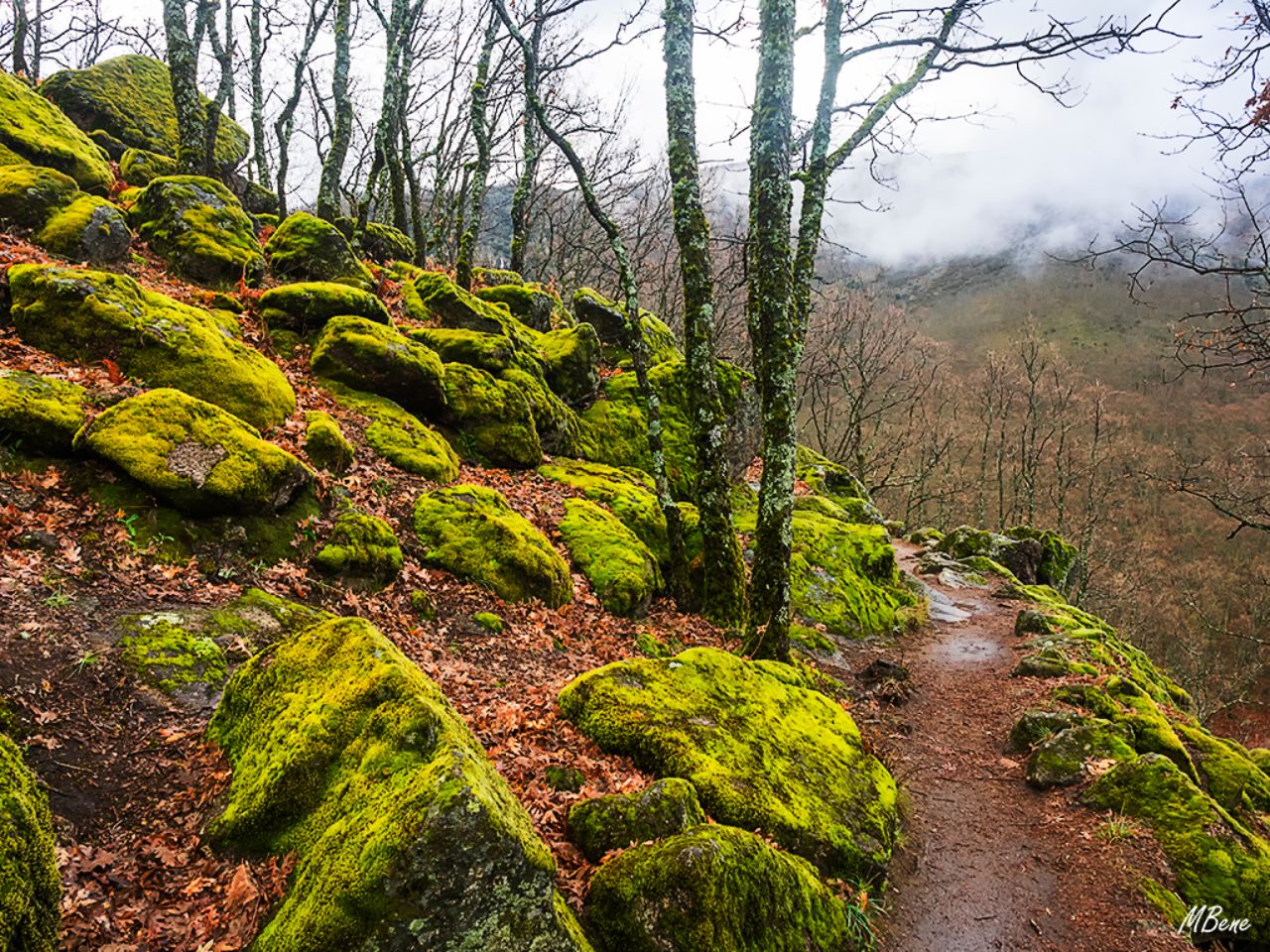 Primavera con sabor a otoño