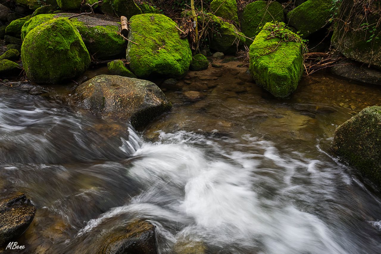 Ruta de la garganta de Marta