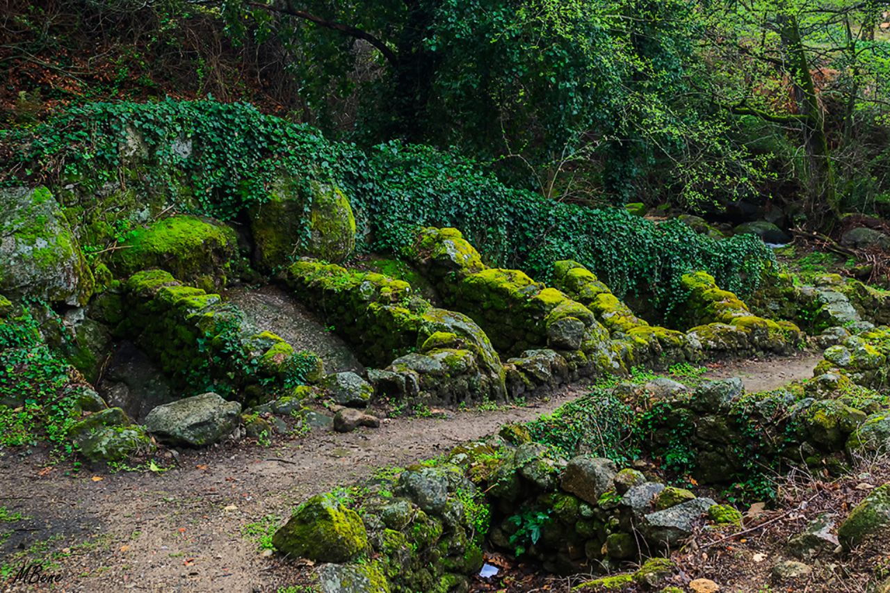 Ruta de la garganta de Marta