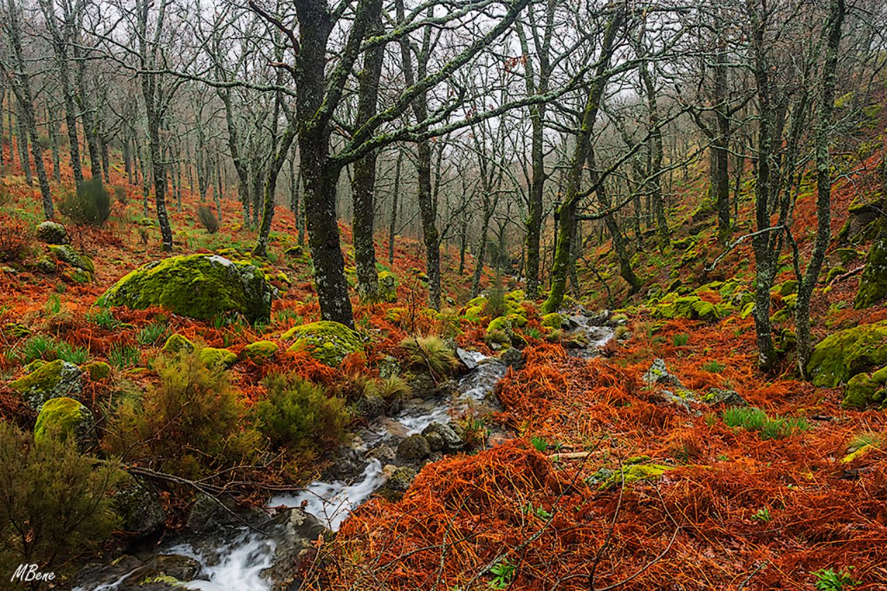 Primavera con sabor a otoño