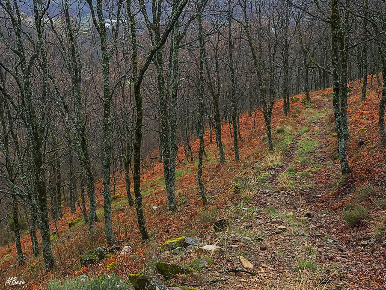 Primavera con sabor a otoño