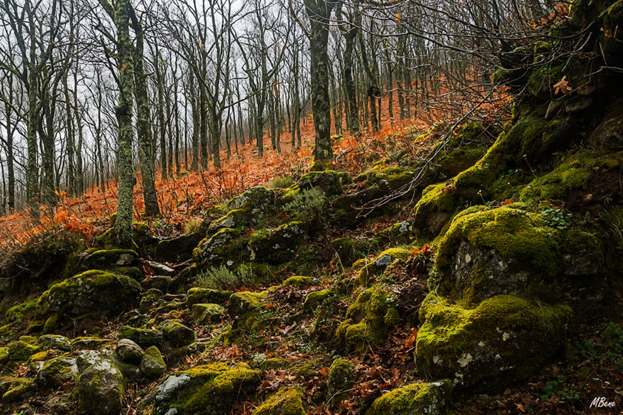 Primavera con sabor a otoño