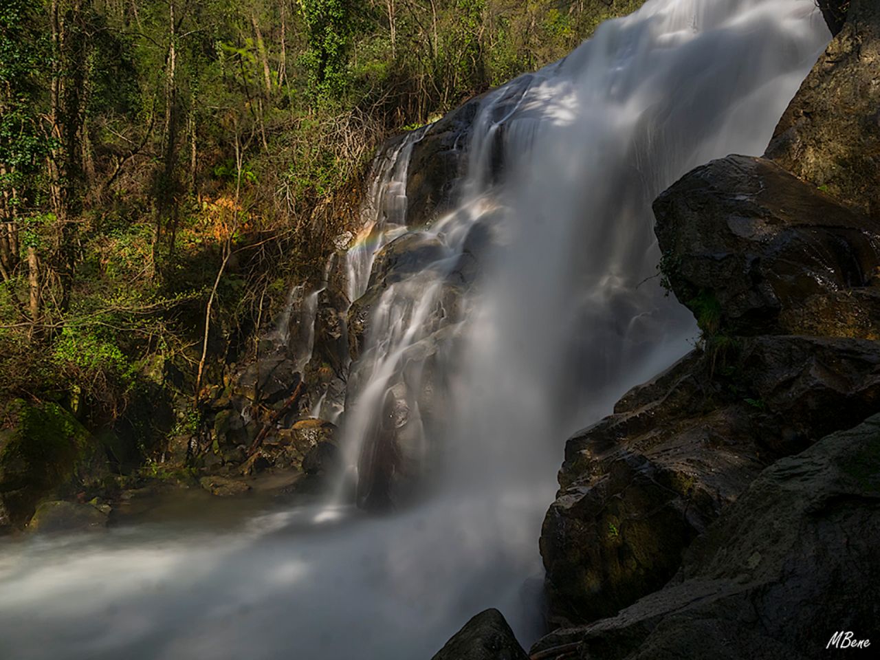 Ruta de las Nogaledas