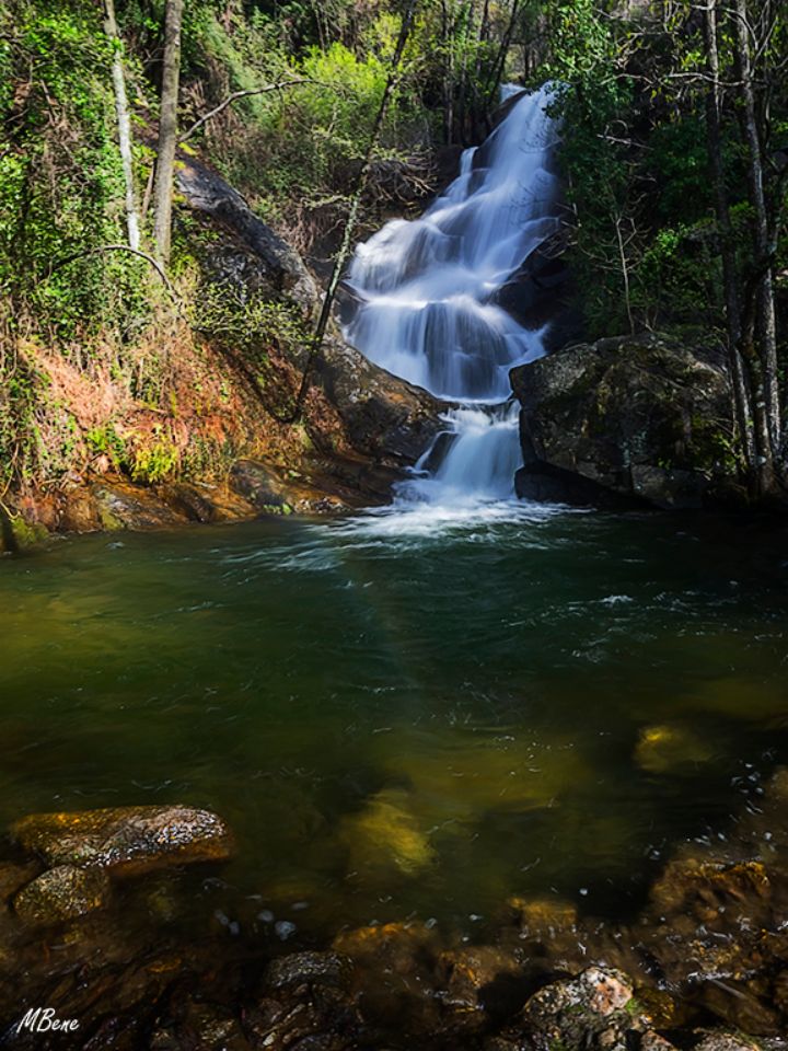 Ruta de las Nogaledas