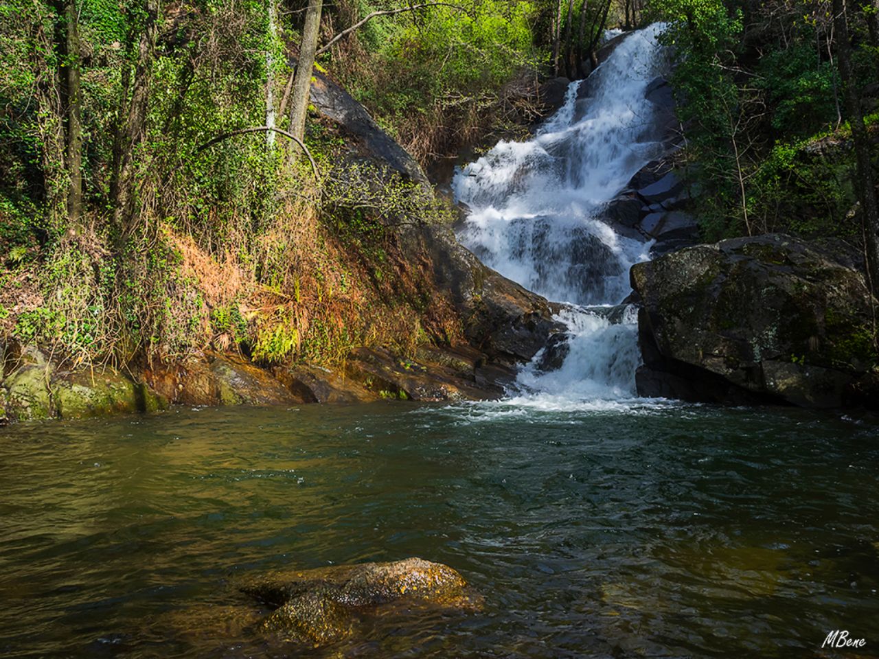 Ruta de las Nogaledas