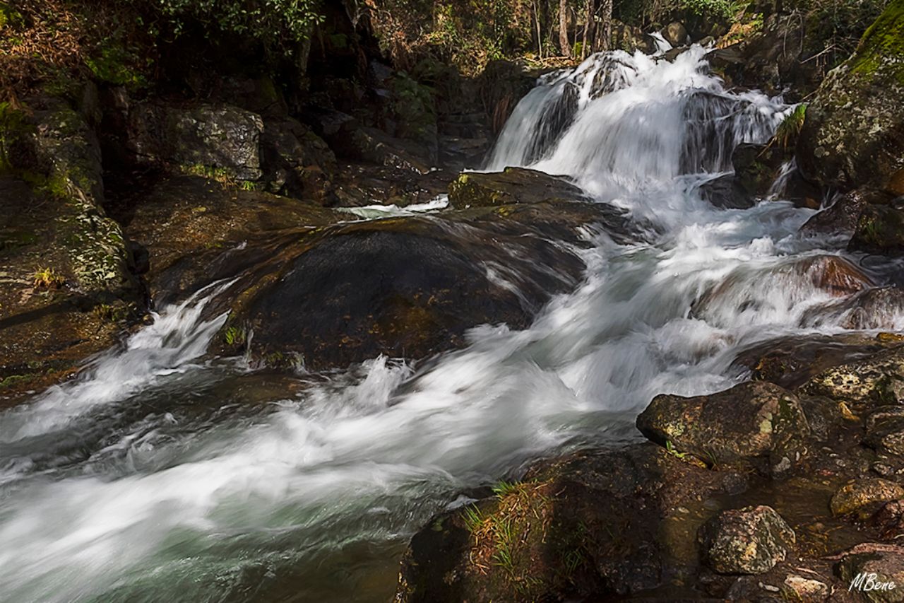 Ruta de las Nogaledas