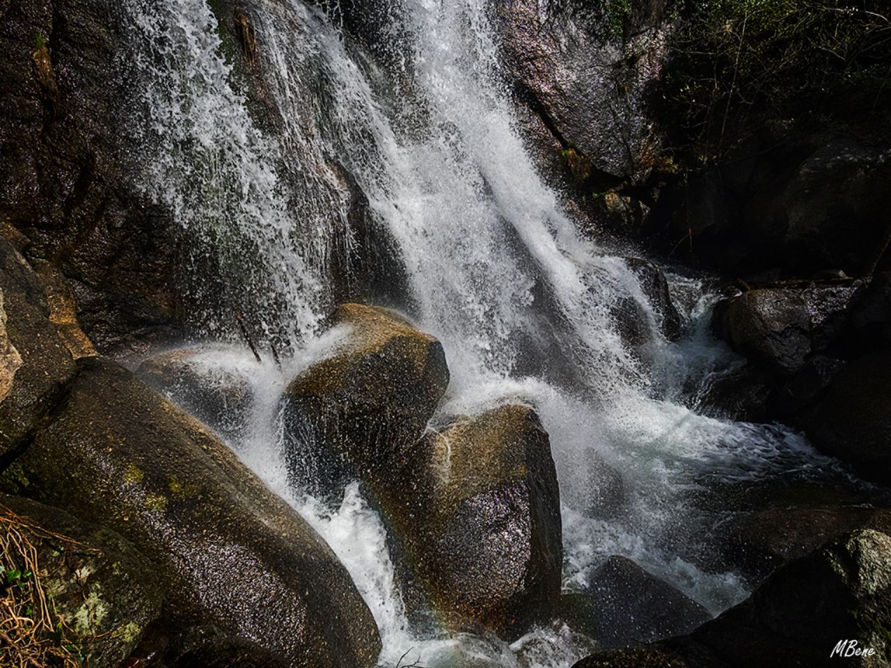 Ruta de las Nogaledas