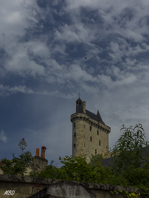 Curiosa la planta del castillo