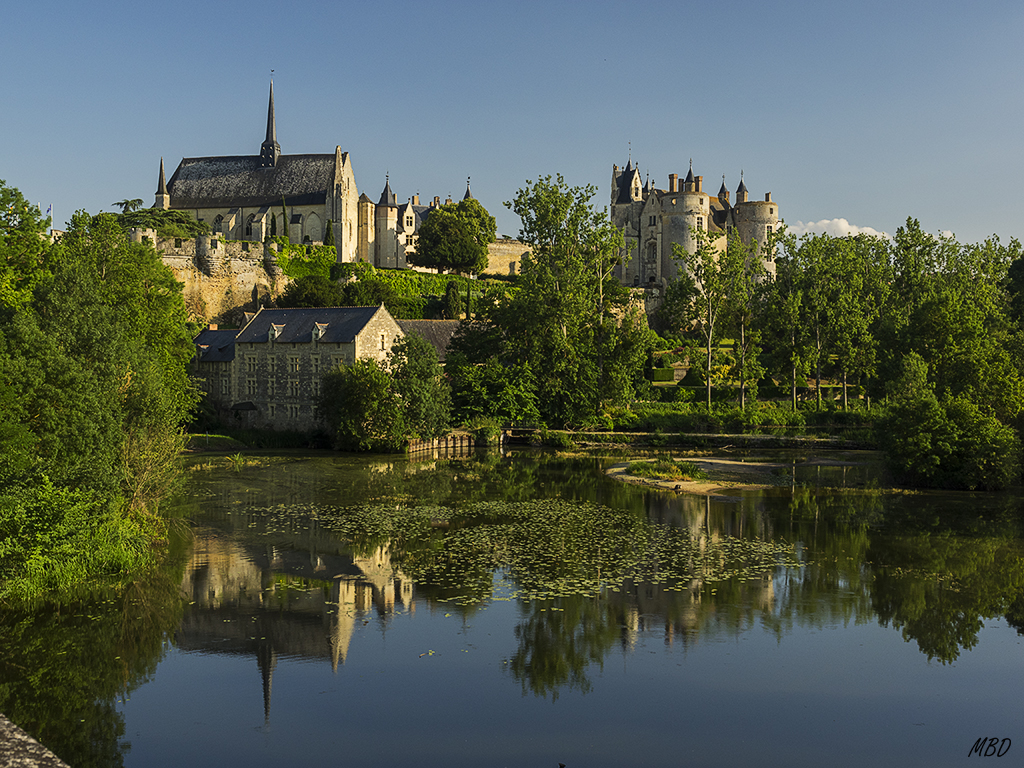 Castillo de Montreuil Bellay