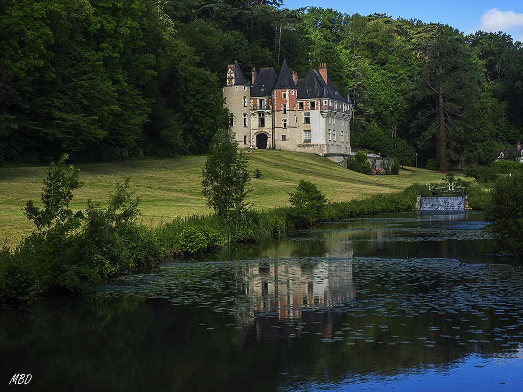 Castillo de Saint-Ouen-Les- Vignes