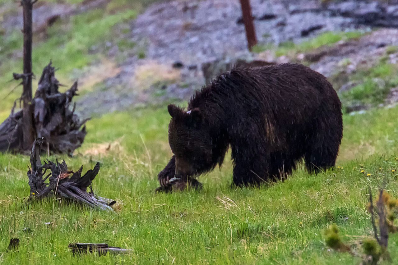Se acerca a un bulto en el suelo