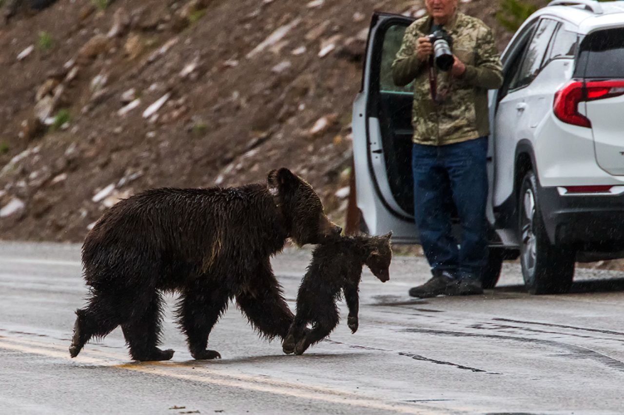 Se lleva al osezno a un lugar privado