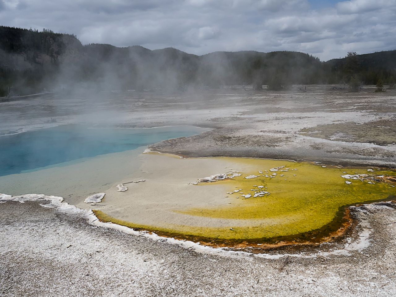 Porcelain, en Norris Geyser Basin.