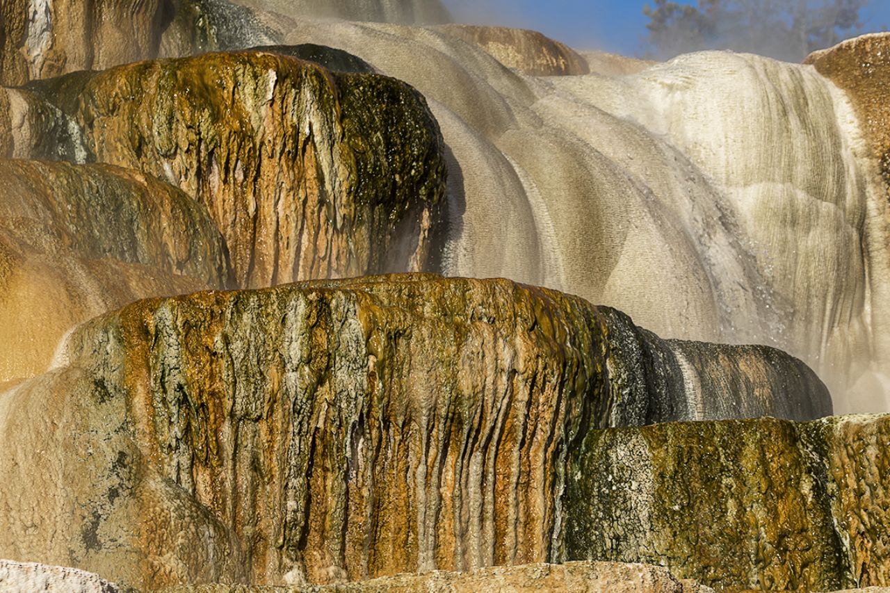 Mammoth Hot Springs