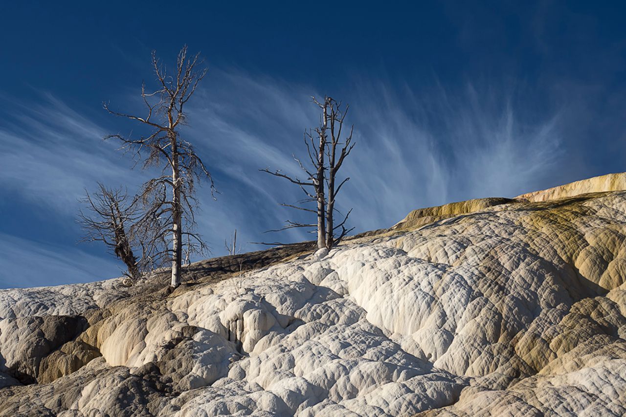 Mammoth Hot Springs