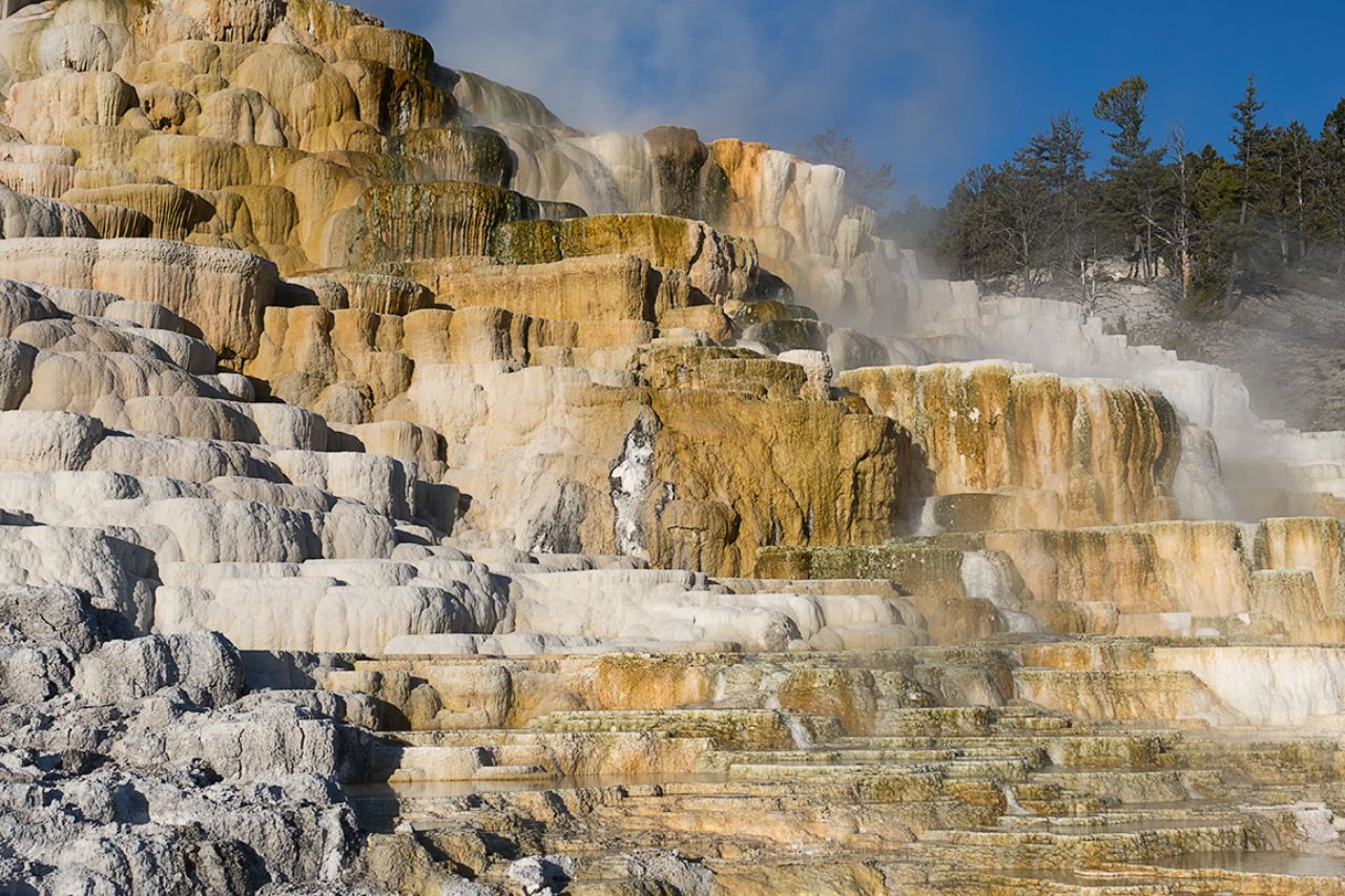 Mammoth Hot Springs