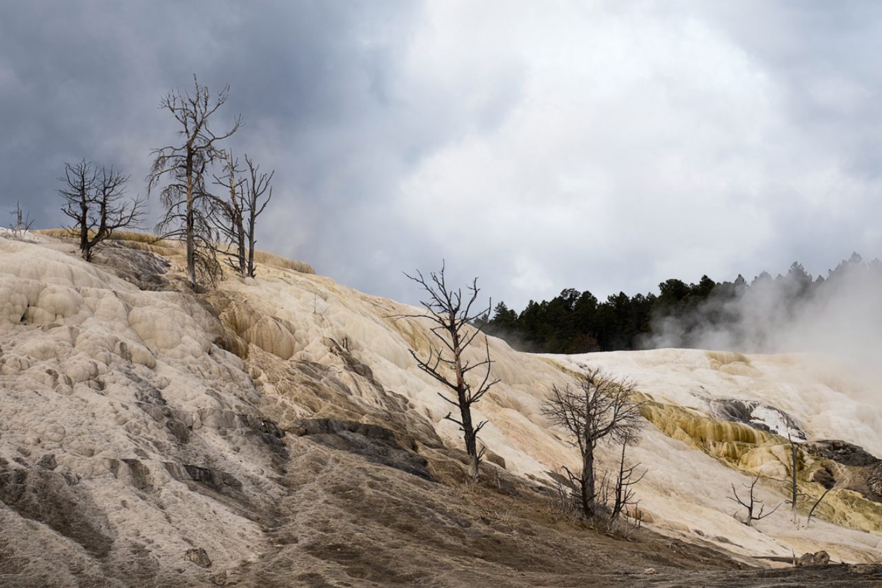 Mammoth Hot Springs