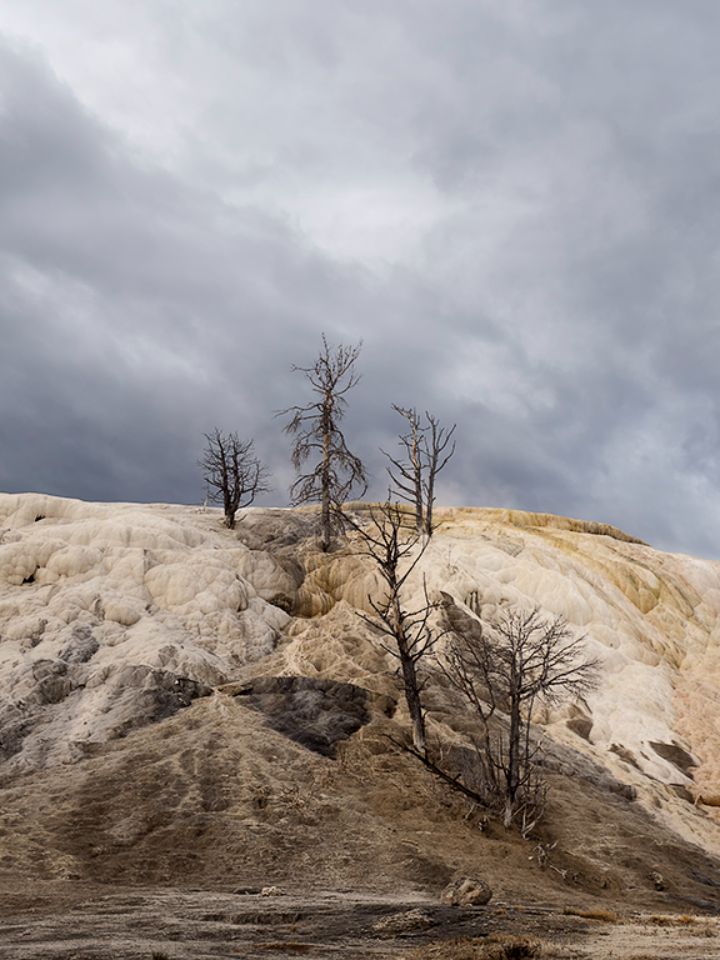 Mammoth Hot Springs
