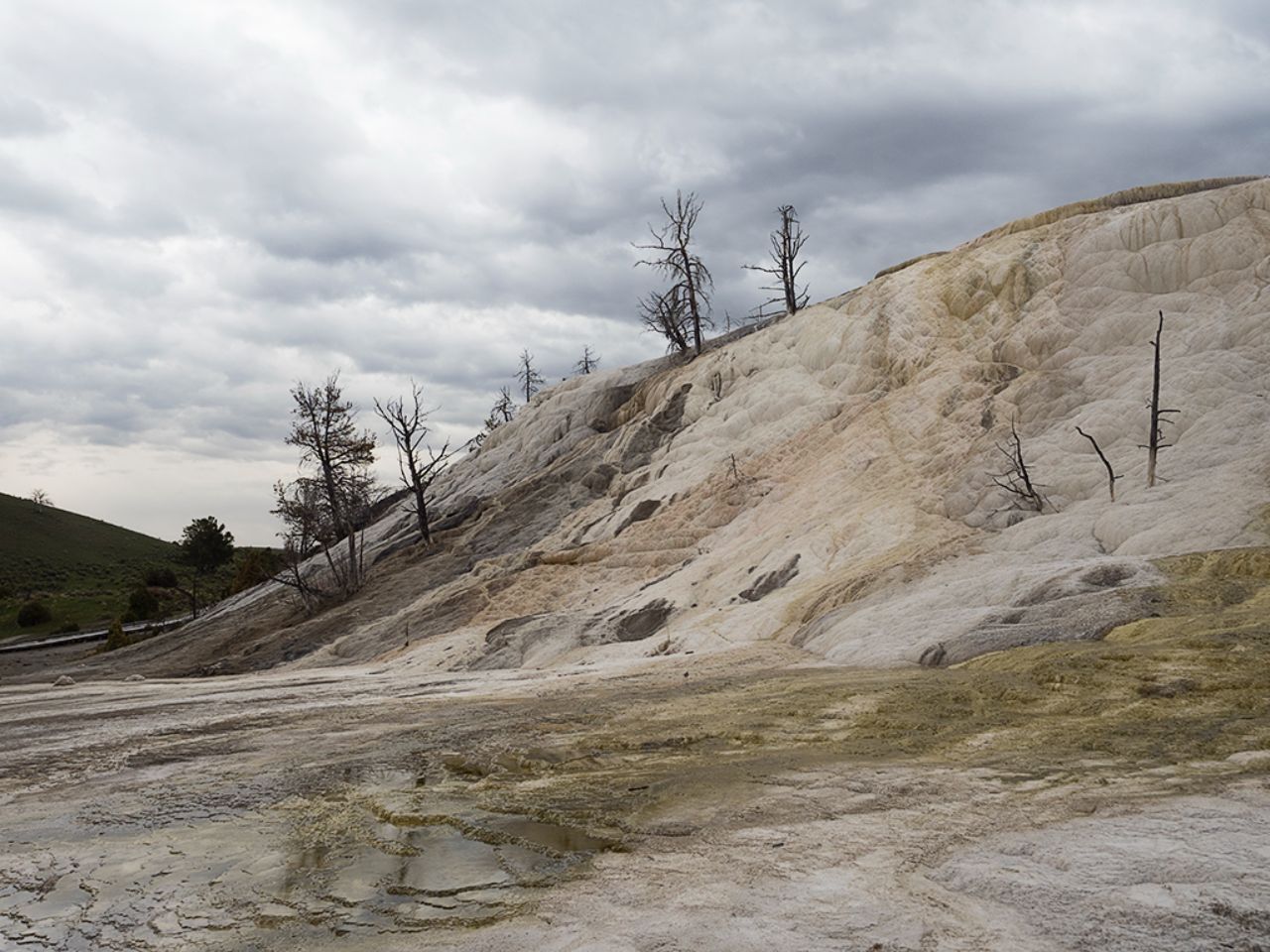Mammoth Hot Springs