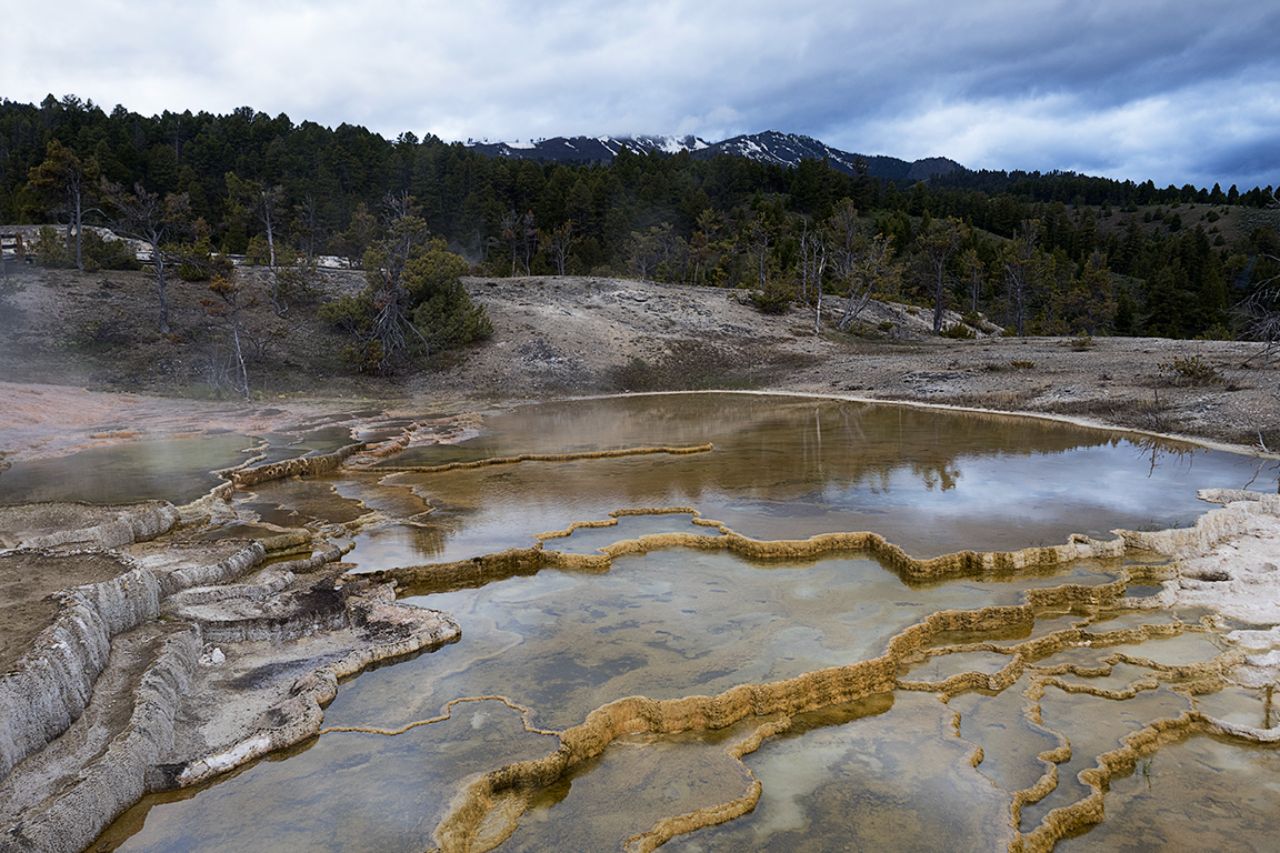 Mammoth Hot Springs