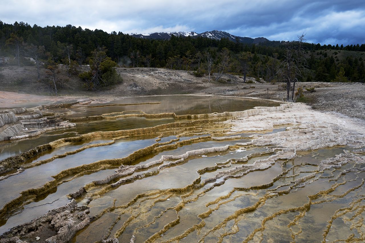 Mammoth Hot Springs