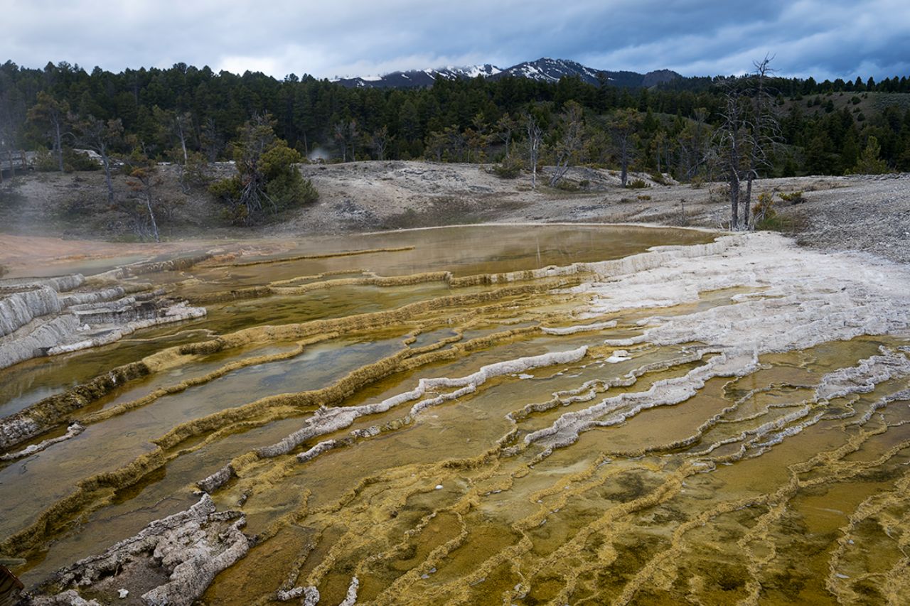 Mammoth Hot Springs