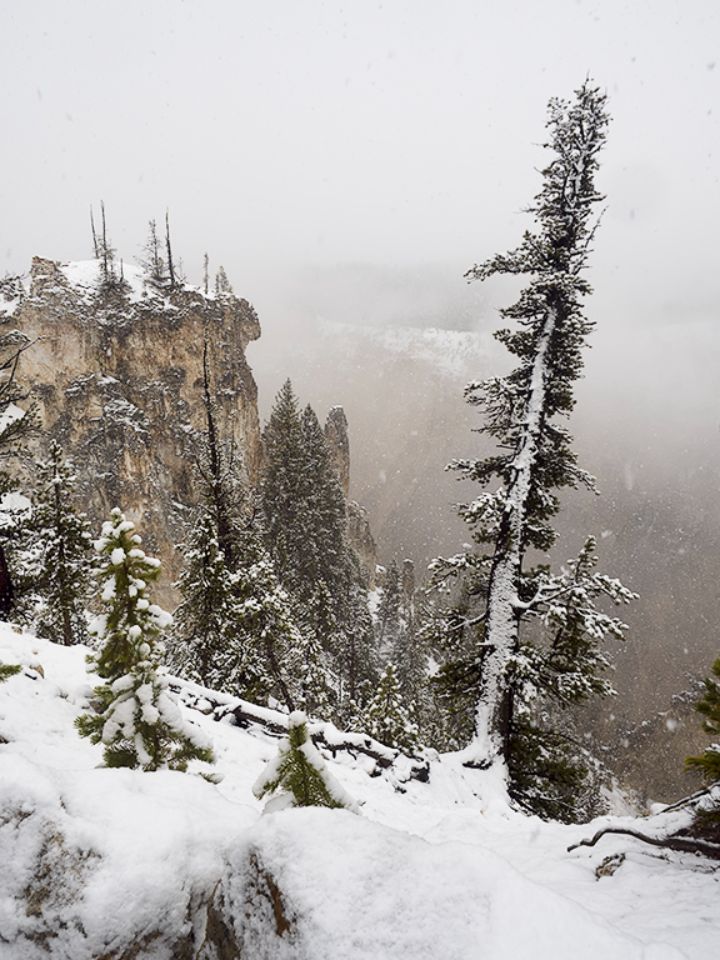Cañón del río Yellowstone
