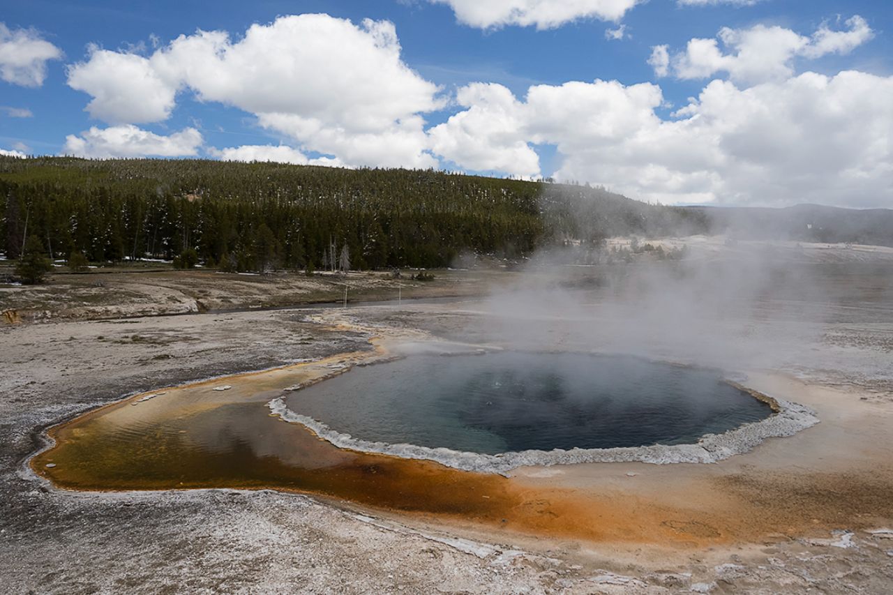 Las bacterias y las algas son responsables de la coloración de las fuentes termales