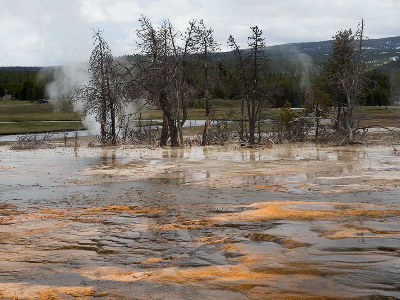 Naturaleza tóxica y extrema