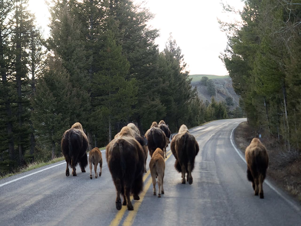 Inevitables los atascos que provocan