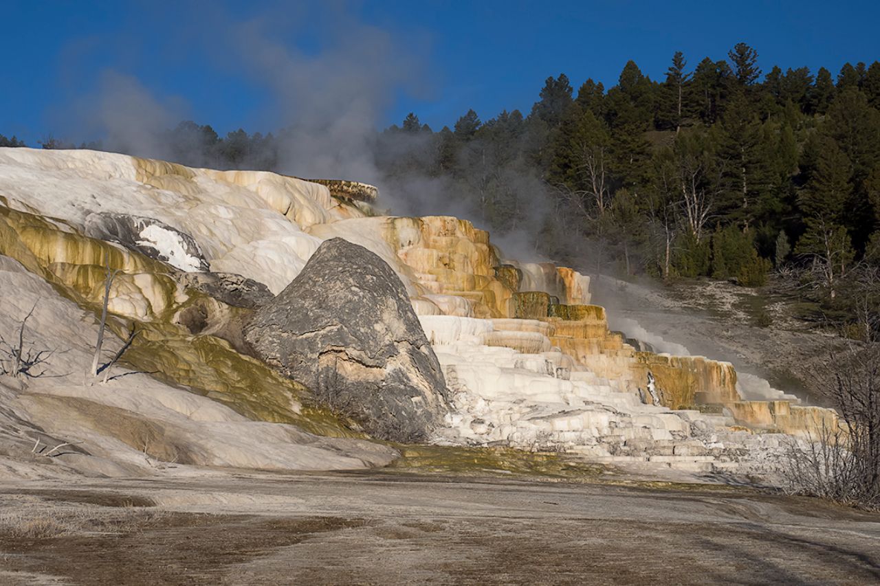 Terrazas travertinas de Mammoth Hot Springs