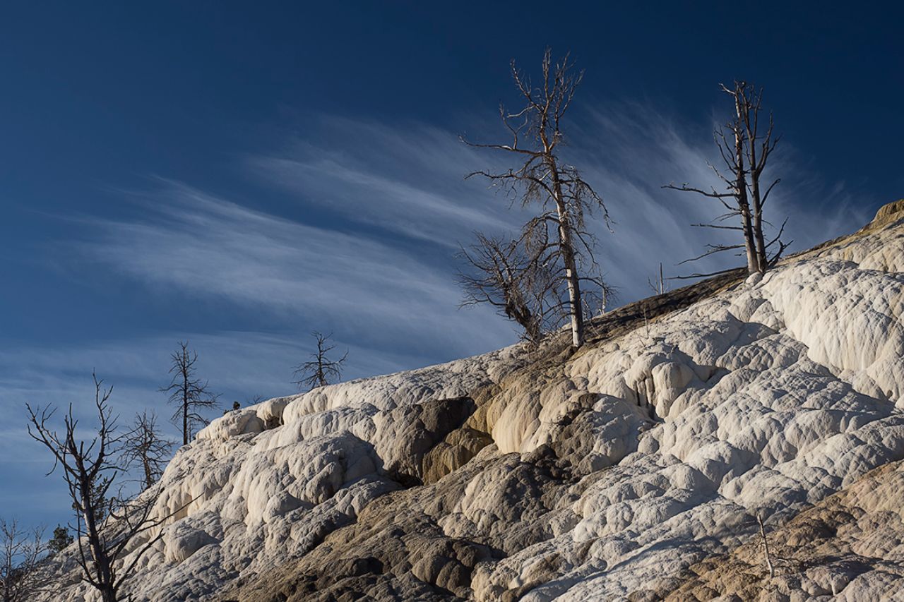  Mammoth Hot Springs