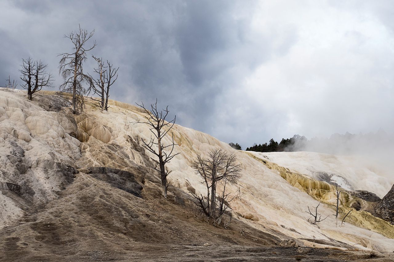  Mammoth Hot Springs